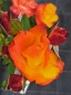 Preview: Beetrose Tempi Moderni ® , Bardern ®, Barni, 1996, gelb, orange mit rot - Co. 5 L